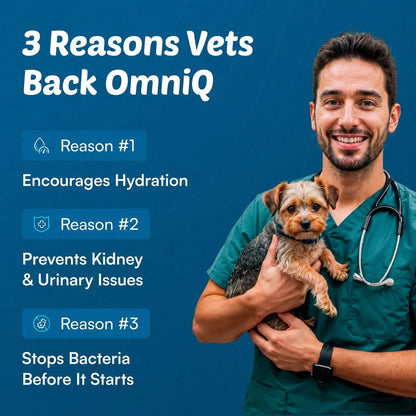 OmniQ™ FreshFlow Pet Fountain - OmniQ™