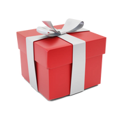 Mystery Gift