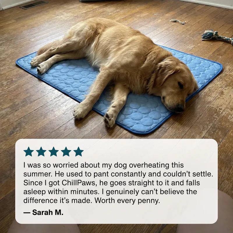 OmniQ™ Cooling Mat
