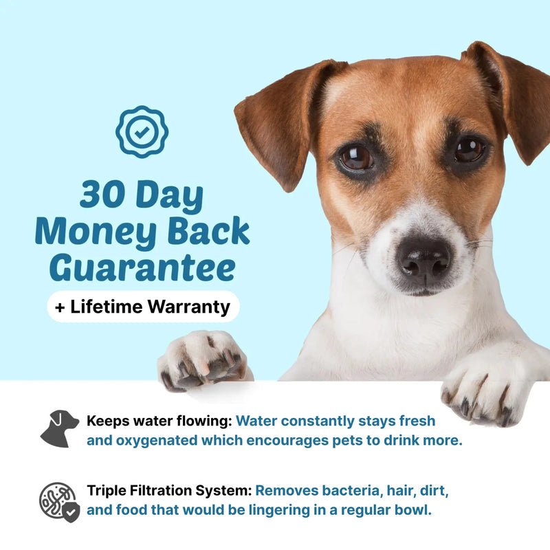 OmniQ™ FreshFlow Pet Fountain - OmniQ™